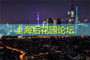 华丽夜上海：夜幕下的时尚购物之旅！