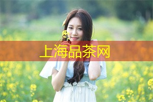 <strong>上海新茶工作室</strong>：上海浪漫的地方